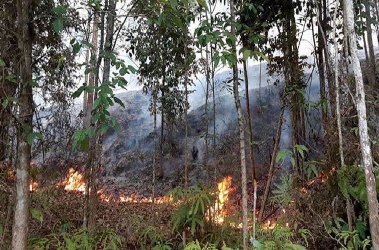 Gambar DLHK Kukar Ingatkan Bahaya Pembakaran Lahan di Musim Kemarau Panjang - dlhk-kukar-ingatkan-bahaya-pembakaran-lahan-di-musim-kemarau-panjang